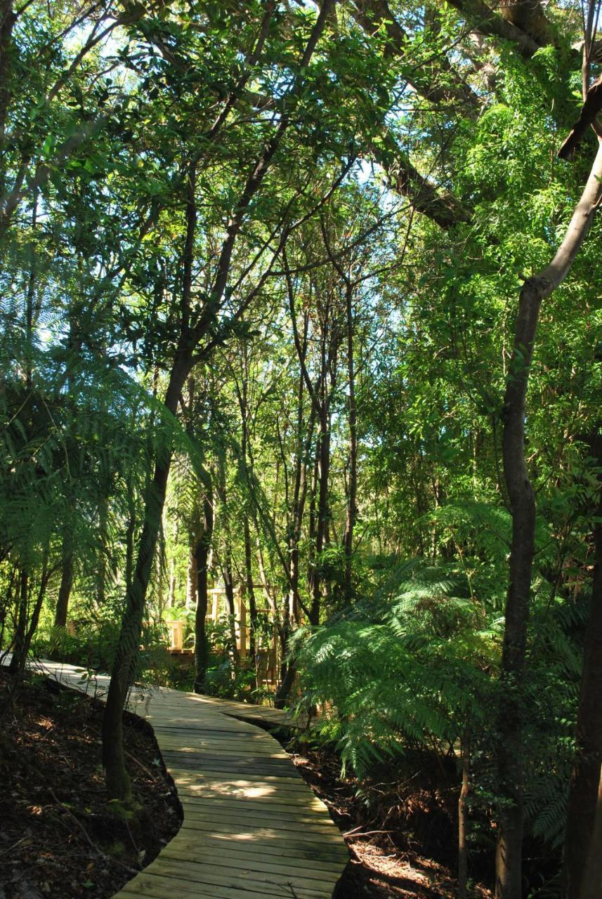 Chucao Bosque Y Cabanas Chaiten Exterior photo