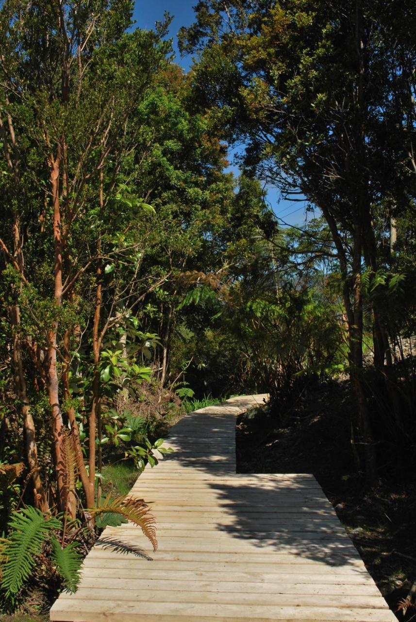 Chucao Bosque Y Cabanas Chaiten Exterior photo