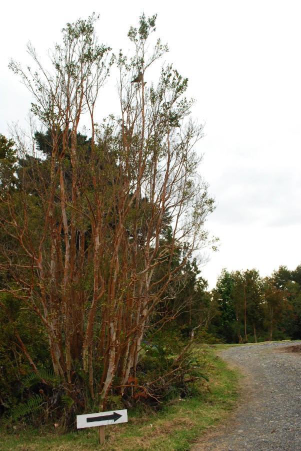Chucao Bosque Y Cabanas Chaiten Exterior photo