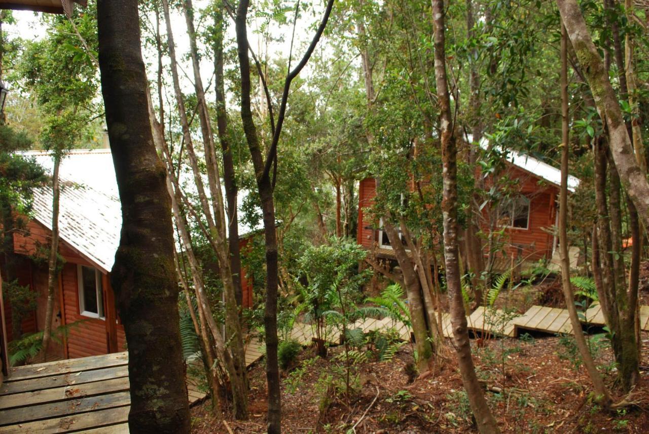 Chucao Bosque Y Cabanas Chaiten Exterior photo